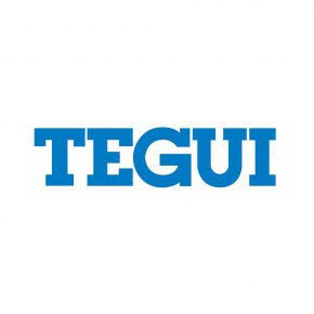 Instalador oficial de Tegui
